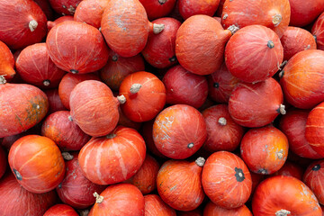 close up of red and yellow  pumpkins