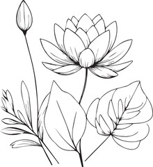 Waterlily line drawings, hand painted waterlily wall art, Campanule Clochette botanical wall art, simple bluebell drawing, waterlily stock outline drawing, lotus line art, hand drawn waterlily art