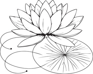 Waterlily vector illustration, beautiful flower bouquet, hand-drawn coloring pages and book of artistic, blossom flowers ballon, engraved ink art, bellflower tattoo designs