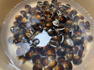 鍋でシジミを煮る