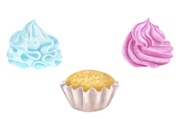 Cupcake muffin pink blue cream. Gender reveal party, baby shower. Sweet food clipart. Hand drawn watercolor illustration isolated on white background. For cafe menu pastry shop