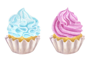 Cupcake muffin pink blue cream. Gender reveal party, baby shower. Sweet food clipart. Hand drawn watercolor illustration isolated on white background. For cafe menu pastry shop