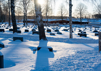 Backlight over graveyard with trees grave stones and snow
