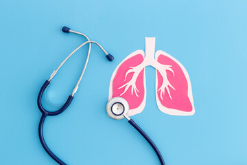 Human organ lungs model and stethoscope, top view. Human health and medical concept