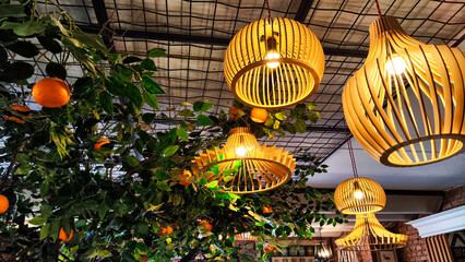 Yellow wicker chandeliers on the ceiling and orange tree with tangerines. Interior, room design,...