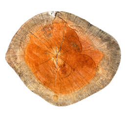 Top Of Rustic Wood Stump Seat On Transparent Backgrounds. Natural Pattern Of Wood Structure. Texture Of Cut Trunk. PNG Image