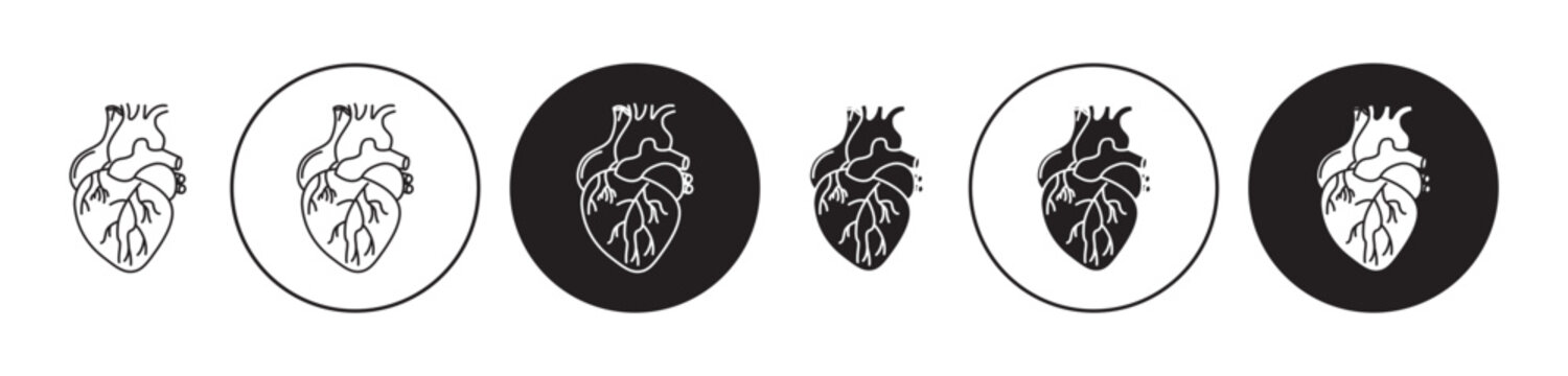 Human Heart Vector Illustration Set. Real heart organ anatomy and blood circulation sign suitable for apps and websites UI design style.