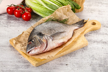 Raw dorada fish served rosemary