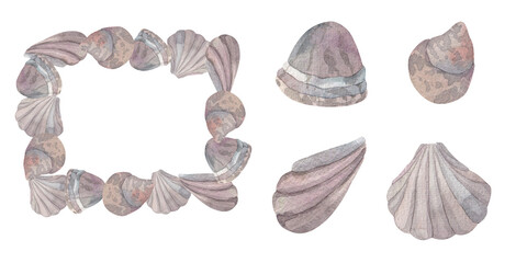 set of square frame made of seashells and seashells. Hand drawn in watercolors on white background. pearlescent shades. isolated on white background