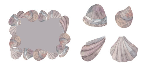 set of square frame made of seashells and seashells. Hand drawn in watercolors on white background. pearlescent shades. isolated on white background