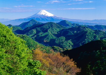 葛城山から望む、冠雪した富士山と伊豆の山々　静岡県伊豆の国市にて