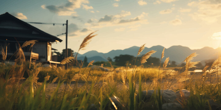 Exploring the Serenity of the Flat Landscape