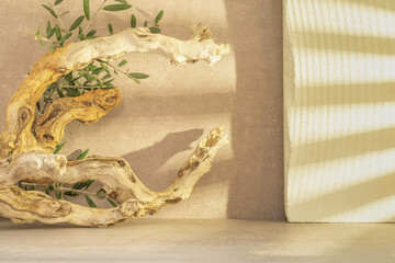 Panorama de fond d'un mur en crépi beige avec une branche de vigne pour création d'arrière plan. Panoramique avec jeu d'ombre et de lumière à travers une fenêtre.	