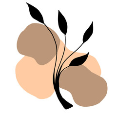 brown design