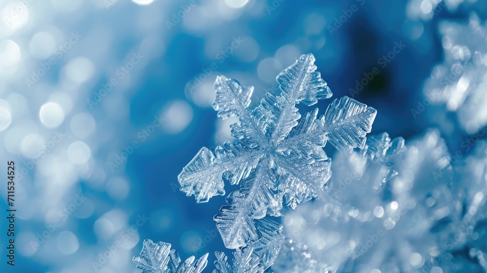 Poster A close-up image of a snowflake resting on a tree branch. Perfect for winter-themed designs and holiday decorations