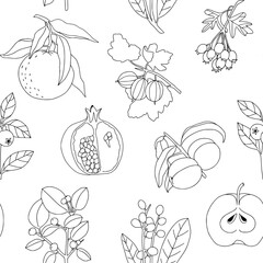 Vintage hand drawn fruita and berries seamless pattern. Linear minimalist surface kitchen textile, fabric, menu design. Bohemian line art botany elements. Elegant outline black and white surface - 711535951