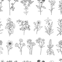 Vintage hand drawn seamless pattern with flowers. Black and white linear floral texture. Bohemian line art botany elements. Elegant outline spring or summer vector surface for textile, fabric, paper
