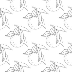 Vintage hand drawn orange or tangerine seamless pattern. Linear minimalist surface with fruits for kitchen textile, fabric, menu design. Bohemian line art botany elements. Elegant outline surface - 711536162