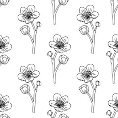 Vintage hand drawn seamless pattern with flowers. Black and white linear floral texture. Bohemian line art botany elements. Elegant outline spring or summer vector surface for textile, fabric, paper - 711536188