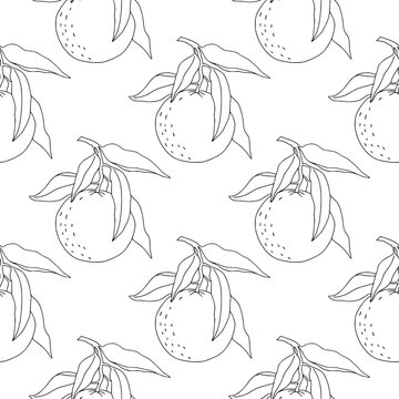 Vintage hand drawn orange or tangerine seamless pattern. Linear minimalist surface with fruits for kitchen textile, fabric, menu design. Bohemian line art botany elements. Elegant outline surface