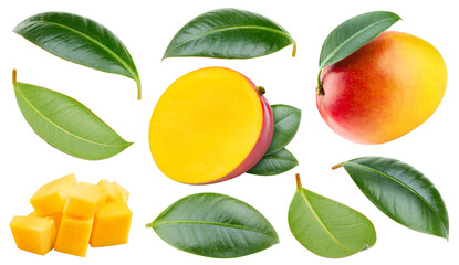 Mango collection isolated. Mango on white. Full depth of field. With clipping path.