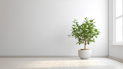 3D rendering of an empty white room with abstract shadows on the wall and a potted plant.