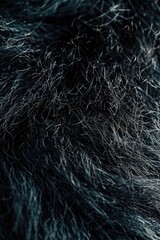 A detailed view of the fur of a furry animal. This image can be used for various purposes