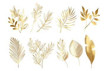 A beautiful collection of golden leaves on a clean white background. Perfect for autumn-themed designs and nature-inspired projects