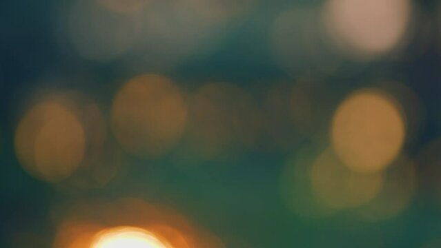 Natural Abstract Background Sunny Spring Day. Sunset Sunlight Through Branches. Nature Concept. Blur.