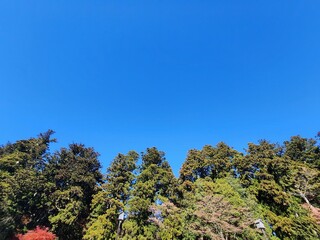 Fototapeta premium SF4