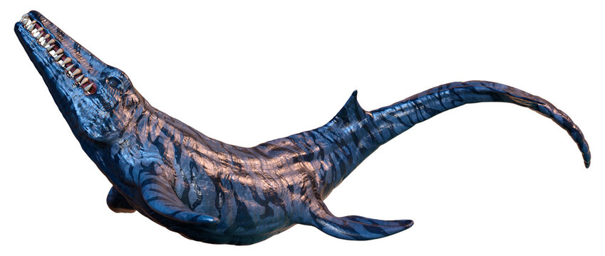 3D Rendering Mosasaurus on White