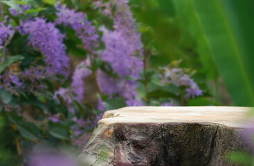 Wood tabletop podium floor in outdoors with blurred purple wreath flower forest plant nature background.Natural product perfume placement pedestal stand display,spring blooming concept.