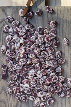 Beautiful heirloom beans on kitchen cutting board