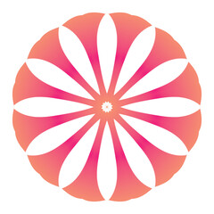 Vector hand drawn doodle mandala. Ethnic mandala with colorful tribal ornament. Isolated. Bright colors.