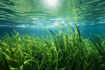 Fototapeta na wymiar Underwater seagrass sways rhythmically with ocean current. Generative AI
