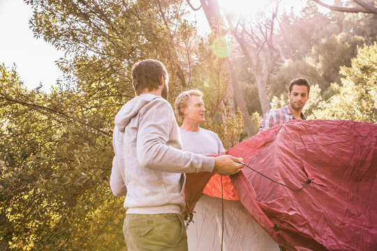 Freunde beim Campingtrip im Wald, Kapstadt, S&uuml;dafrika