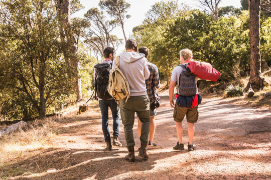 Freunde beim Campingtrip im Wald, Kapstadt, Südafrika
