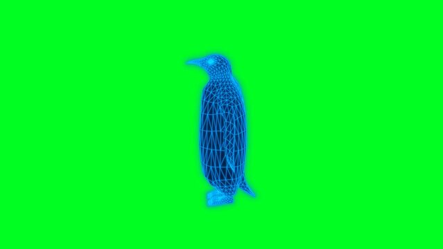  4k green screen penguin technology video,  penguin wireframe animation video, penguin 360 turn video