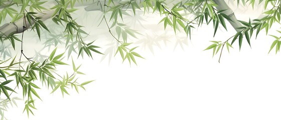 Fototapeta premium bamboo leaves isolated on white