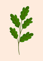 Green oak branch. Vector illustration for postcard, poster, ad, decor, fabric and other uses.