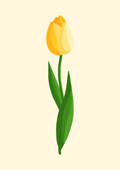 Yellow tulip flower. Spring blooming vector illustration for women's day, mother's day, easter and other holidays. Floral isolated design for postcard, poster, ad, decor, fabric and other uses.