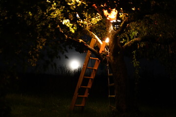 Leiter am Baum im Mondschein