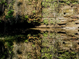 paisaje verde con reflejos