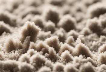 Fototapeta na wymiar Common house hold dust high magnification macro isolated on white