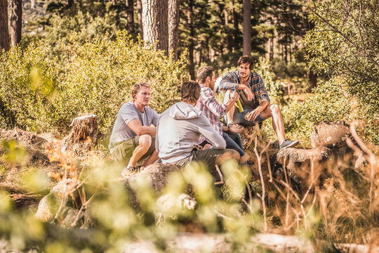 Group of guys hiking in the woods