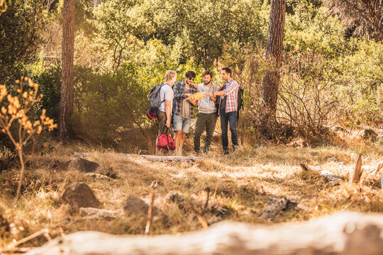 Four friends hiking in the mountains and reading a map.
