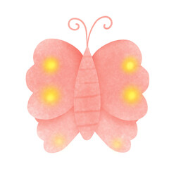 butterfly on a flower