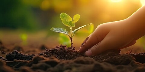 Nurturing nature future. Child hopeful act of planting small seedling embracing concept of environmental sustainability and eco friendly agriculture to care for green earth one sprout at time