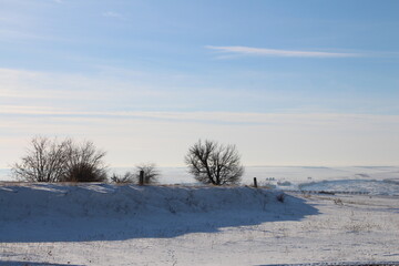 Fototapeta na wymiar A snowy field with trees and a fence