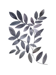 A branch with leaves is dark green, a pattern with leaves,a watercolor illustration